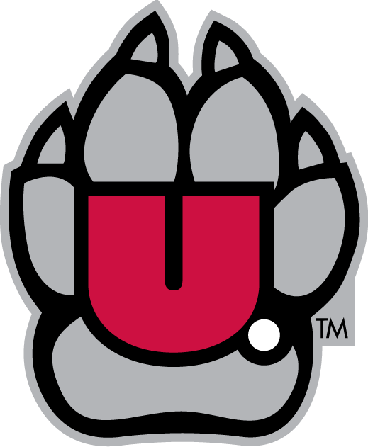 South Dakota Coyotes 2004-2011 Alternate Logo v2 iron on transfers for T-shirts